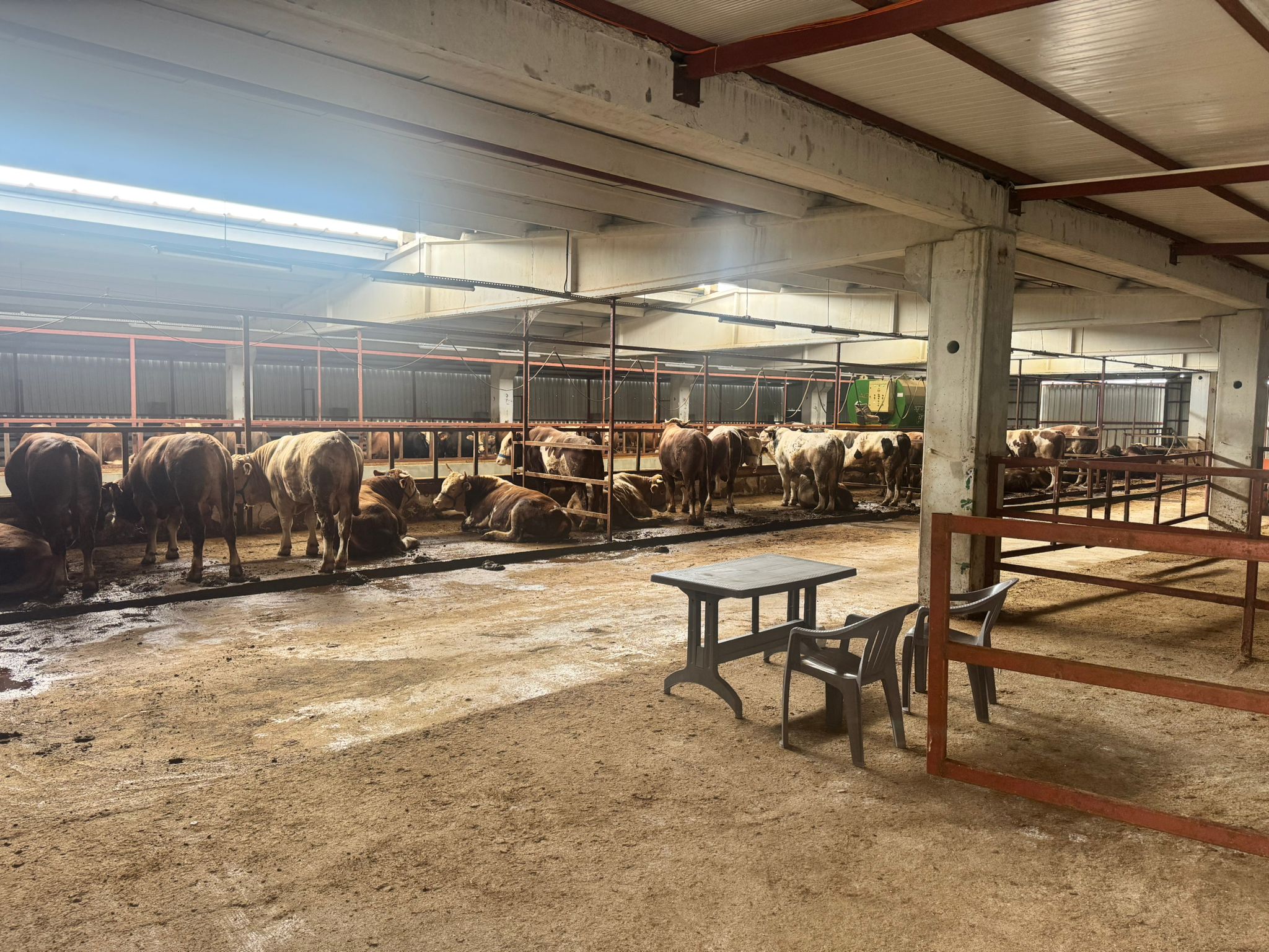 Tesis İçi Geniş Padoklar